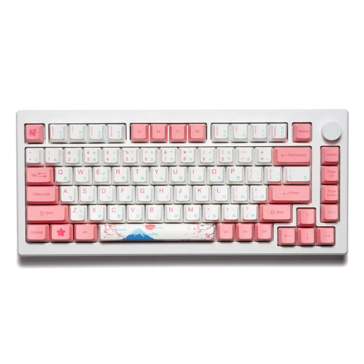 Akko MOD 007B HE 75% Keyboard