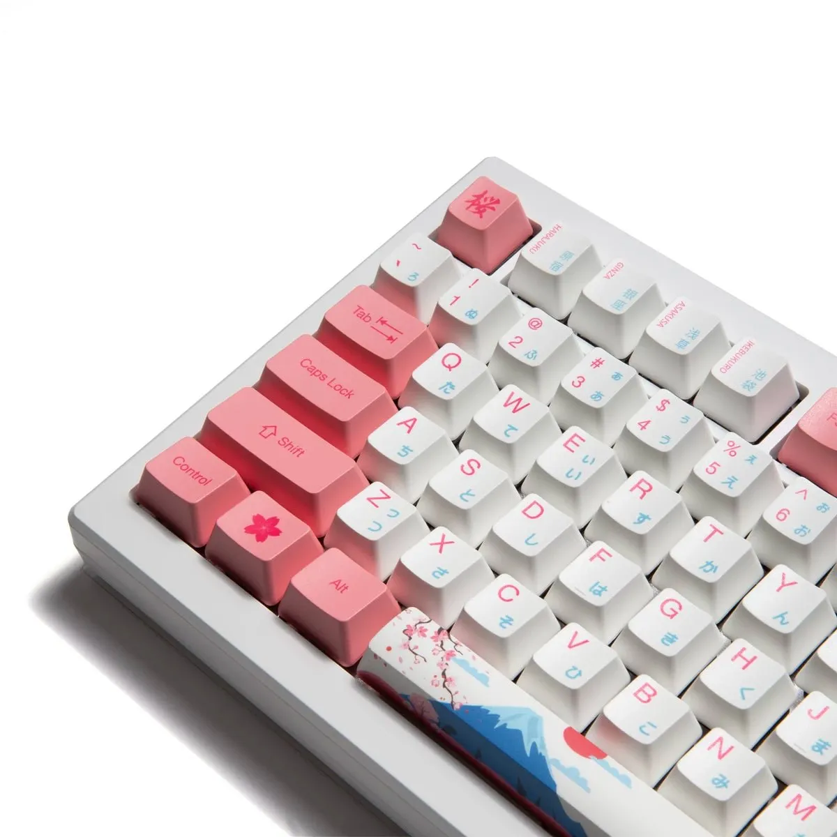 Akko MOD 007B HE 75% Keyboard