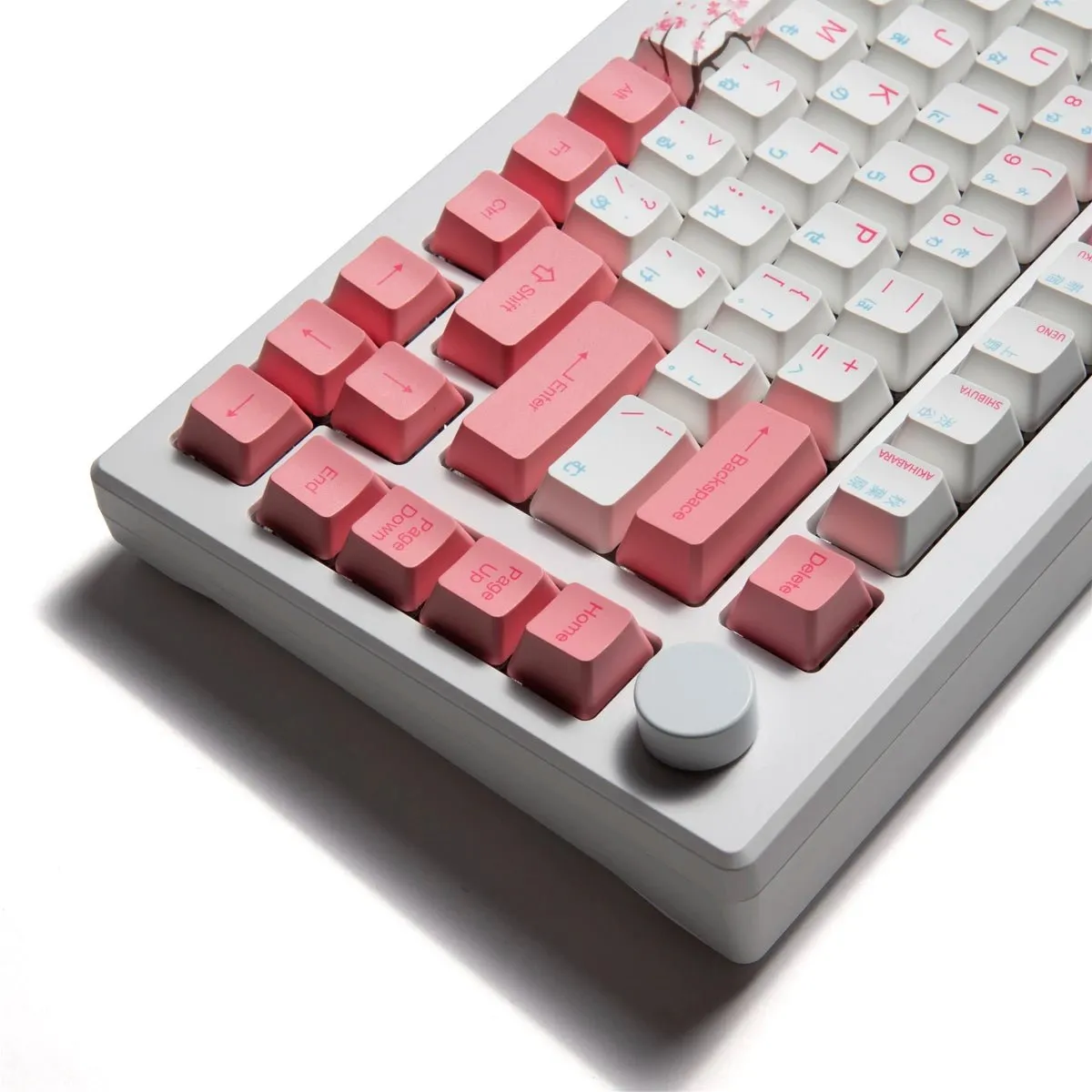 Akko MOD 007B HE 75% Keyboard