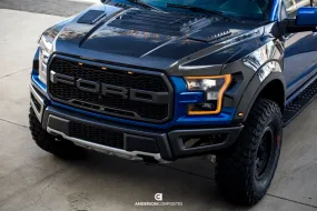 Anderson Composites - Type-OE Carbon Fiber Hood - 2017  Raptor