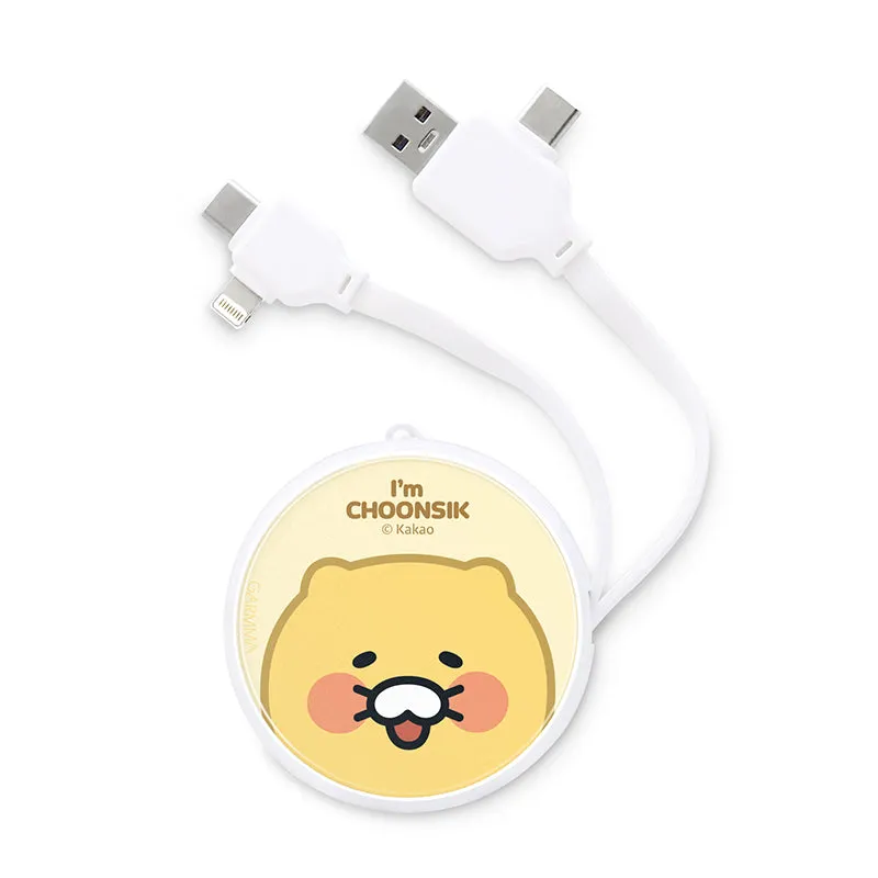 GARMMA Kakao Friends PD Fast Charge Lightning Type-C Extracted Extension Cable