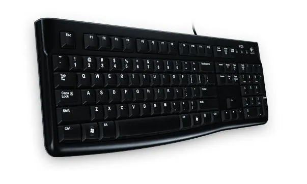 Logitech K120 Usb Black Qwertz De