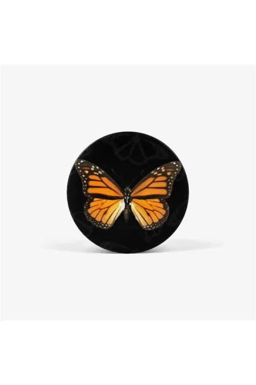 Monarch Butterfly Collapsible Grip & Stand for Phones and Tablets