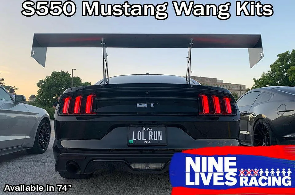 Mustang Big Wang Kit '14  S550