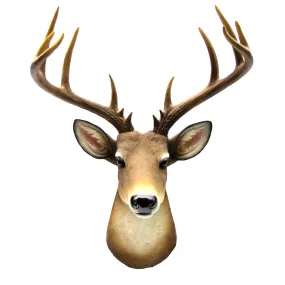 Wall Mount Taxidermy Mule Deer Shoulder Bust